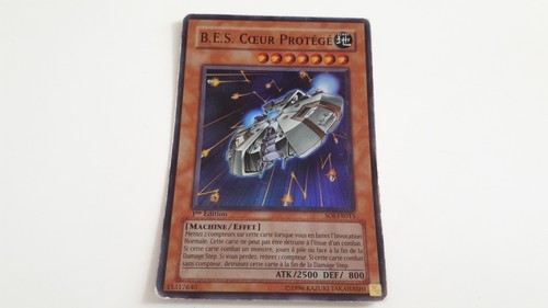 Coeur protege soi - b,
